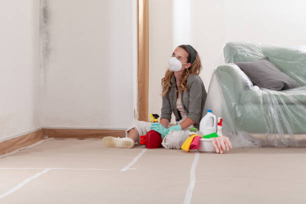 Reliable Mold Remediation contractor in Hastings, MN by WQB Mold Removal